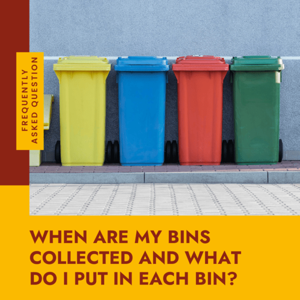When are my bins collected and what do I put in each bin? Norwich